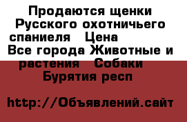 Продаются щенки Русского охотничьего спаниеля › Цена ­ 25 000 - Все города Животные и растения » Собаки   . Бурятия респ.